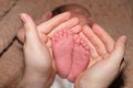 The legs of a two-week-old baby are in the hands of a mother. The palms of a woman and the feet of a child, the love and Royalty Free Stock Photo