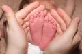 The legs of a two-week-old baby are in the hands of a mother. The palms of a woman and the feet of a child, the love and Royalty Free Stock Photo