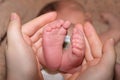 The legs of a two-week-old baby are in the hands of a mother. The palms of a woman and the feet of a child, the love and Royalty Free Stock Photo