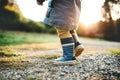 A little toddler boy walking outdoors in nature at sunset. Rear view.