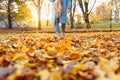 Legs of unrecognosable woman wearing brown boots and jeans in autumn yellow foliage walking in park or forest Royalty Free Stock Photo