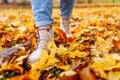 Legs of unrecognosable woman wearing brown boots and jeans in autumn yellow foliage walking in park or forest Royalty Free Stock Photo