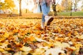 Legs of unrecognosable woman wearing brown boots and jeans in autumn yellow foliage walking in park or forest Royalty Free Stock Photo