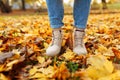 Legs of unrecognosable woman wearing brown boots and jeans in autumn yellow foliage walking in park or forest Royalty Free Stock Photo