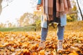 Legs of unrecognosable woman wearing brown boots and jeans in autumn yellow foliage walking in park or forest Royalty Free Stock Photo