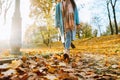 Legs of unrecognosable woman wearing brown boots and jeans in autumn yellow foliage walking in park or forest Royalty Free Stock Photo