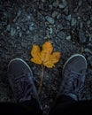 Legs on the wet asphalt, with the orange leave in between. Autumn and lifestyle concept, moody picture