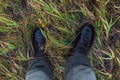 Feet in wet black army boots and green cotton pants in autumn grass gonzo downward point of view Royalty Free Stock Photo