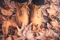 Legs of a woman in brown boots in autumn park Royalty Free Stock Photo