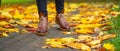 Legs of a woman in brown boots walking in a park Royalty Free Stock Photo