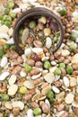 Legume abstract - top view of a variety of colorful bean