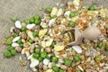 Legume abstract - top view of a variety of colorful bean