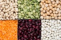 Legume background, assortment - kidney beans, peas, lentils in square cells closeup top view. Royalty Free Stock Photo