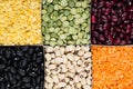 Legume background, assortment - kidney beans, peas, lentils in square cells closeup top view. Royalty Free Stock Photo