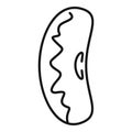 Legume kidney bean icon, outline style
