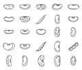 Legume kidney bean icons set, outline style