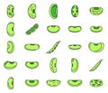 Legume kidney bean icons set vector color