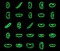 Legume kidney bean icons set vector neon