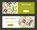 Legume Plant Banner Design with Pod and Bean Vector Template