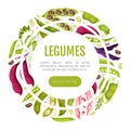 Legume Plant Banner Design with Pod and Bean Vector Template