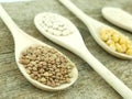 Legumes over spoons