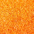 Legumes, pulses. Orange lentils full background, top view Royalty Free Stock Photo