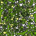 Legumes seamless pattern. Vector green bean, soy