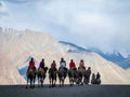 LEH LADAKH, INDIA-JUNE 24: Group of tourists are riding camels a Royalty Free Stock Photo