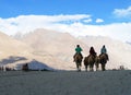 LEH LADAKH, INDIA-JUNE 24: Group of tourists are riding camels a Royalty Free Stock Photo