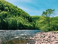 Lehigh River beautiful summer view