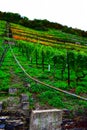 Lehmen, Germany - 10 07 2020: monorail for steep vineyards Royalty Free Stock Photo