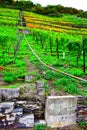 Lehmen, Germany - 10 07 2020: small stairway and monorail in vineyards terraces Royalty Free Stock Photo