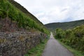 narrow way along the vineyards with a vineyards wall