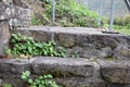 old stairway with plants between the stones Royalty Free Stock Photo