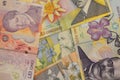 Lei banknote Romanian currency background