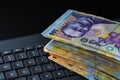 Lei banknotes on keyboard. Selective focus on stack of LEI romanian money Royalty Free Stock Photo