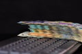 Lei banknotes on keyboard. Selective focus on stack of LEI romanian money Royalty Free Stock Photo