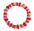 Lei Flower Royalty Free Stock Photo