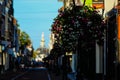 Blurred street with a flower in the side of the street