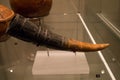 Leiden, The Netherlands - JAN 04, 2020: closeup of a decorated drinking horn from ancient Cyprus.