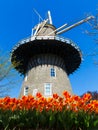 Leiden windmill Royalty Free Stock Photo