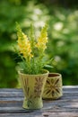 Little wild flower bouquet in a vase Royalty Free Stock Photo