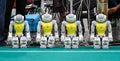 Humanoid robots Nao of Aldebaran Robotics