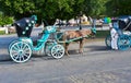 Leisure carriage from Izamal the magical city - Yucatan - Mexico