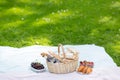 Picnic basket, food and wine at summer park