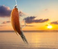 Fishing hook and lure on background