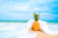 Leisure in summer and Summer vacation concept Royalty Free Stock Photo