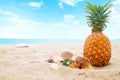 Leisure in summer and Summer vacation concept. Royalty Free Stock Photo