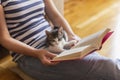 Leisure time with a cat Royalty Free Stock Photo