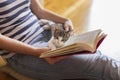 Leisure time with cat Royalty Free Stock Photo